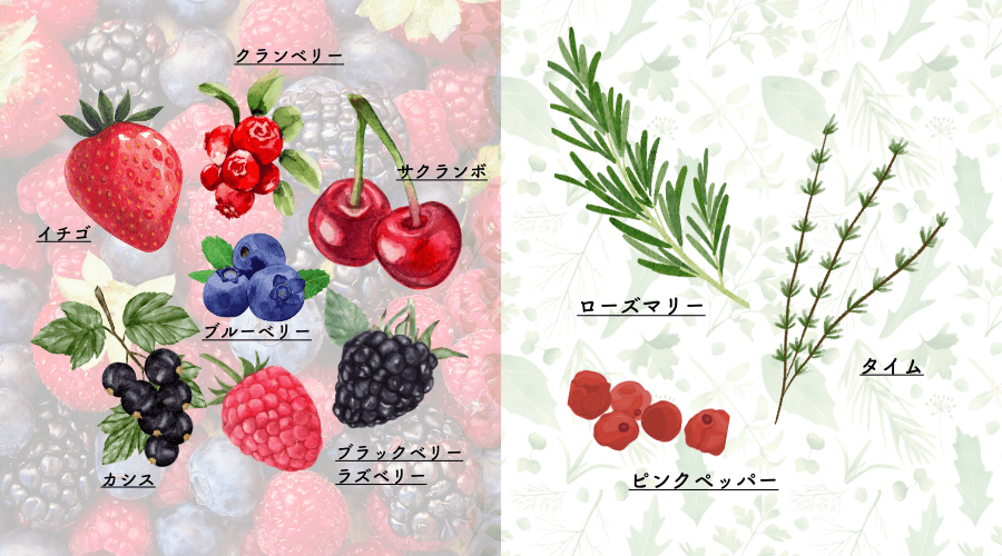 フルッティディボスコ 商品説明挿入画像 使用食材